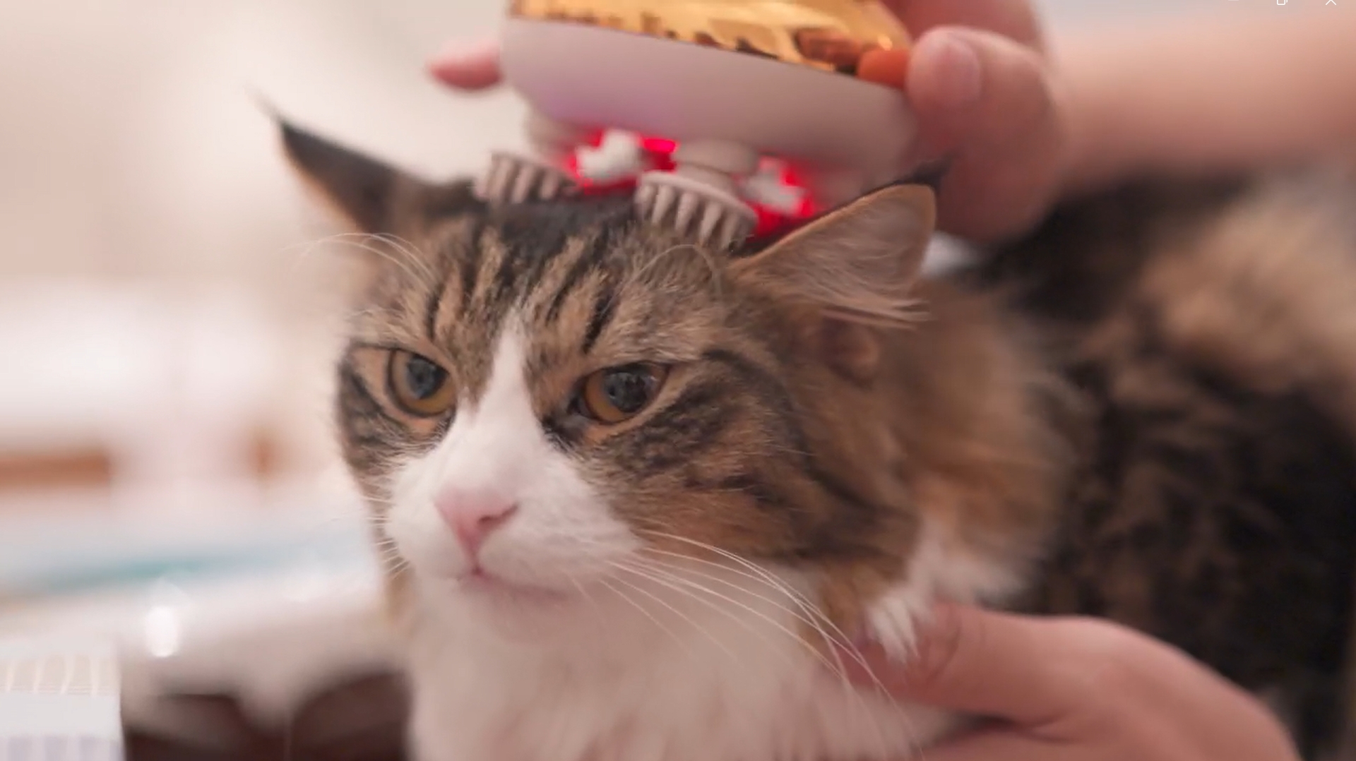 自宅用育毛器 Amazon.co.jp: Techlove リリーフスカルプ お家でヘッドスパ